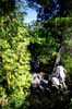 Exploring island camp on Ralph Bice Lake