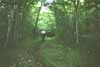 Portage from Mama Lake to Shawshaw Lake - Cam & Andrew